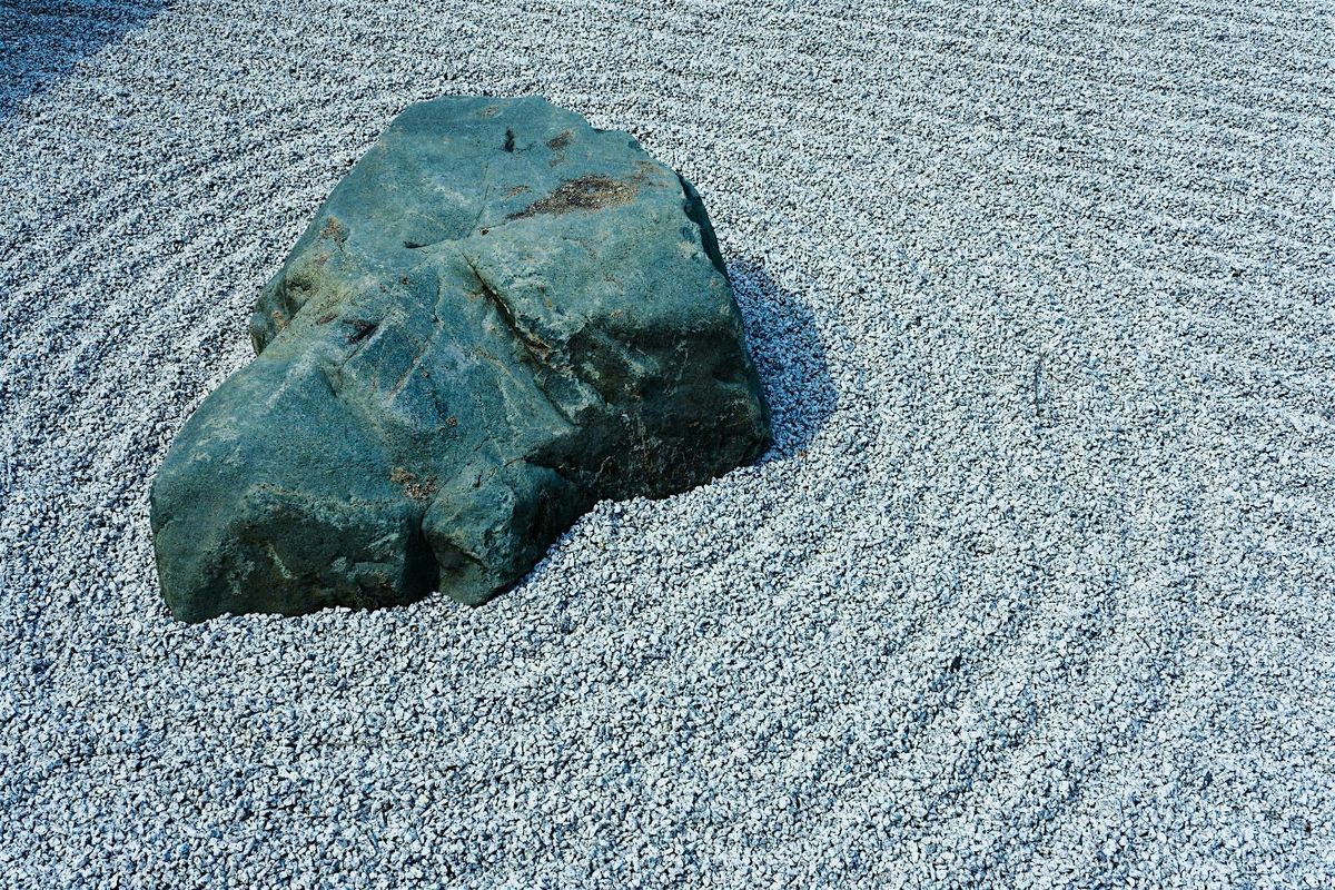 ZEN FOR A BUSY MIND: FROM NOISE TO NOW