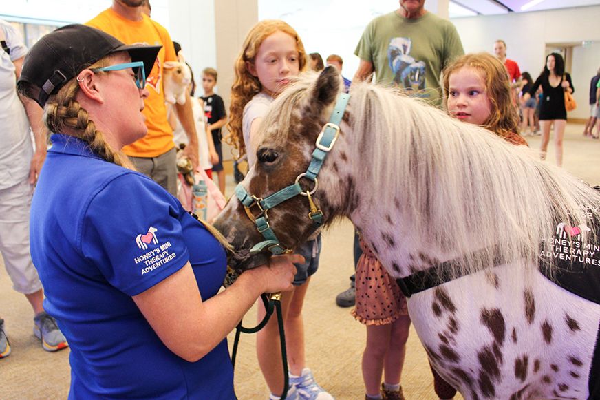 Family Day: Cowpokes & Ranch Hands featuring Honey\u2019s Mini Therapy Adventures