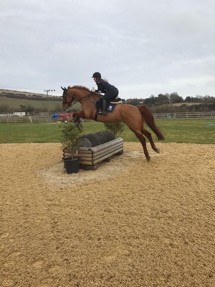 Pyecombe arena eventing clinic