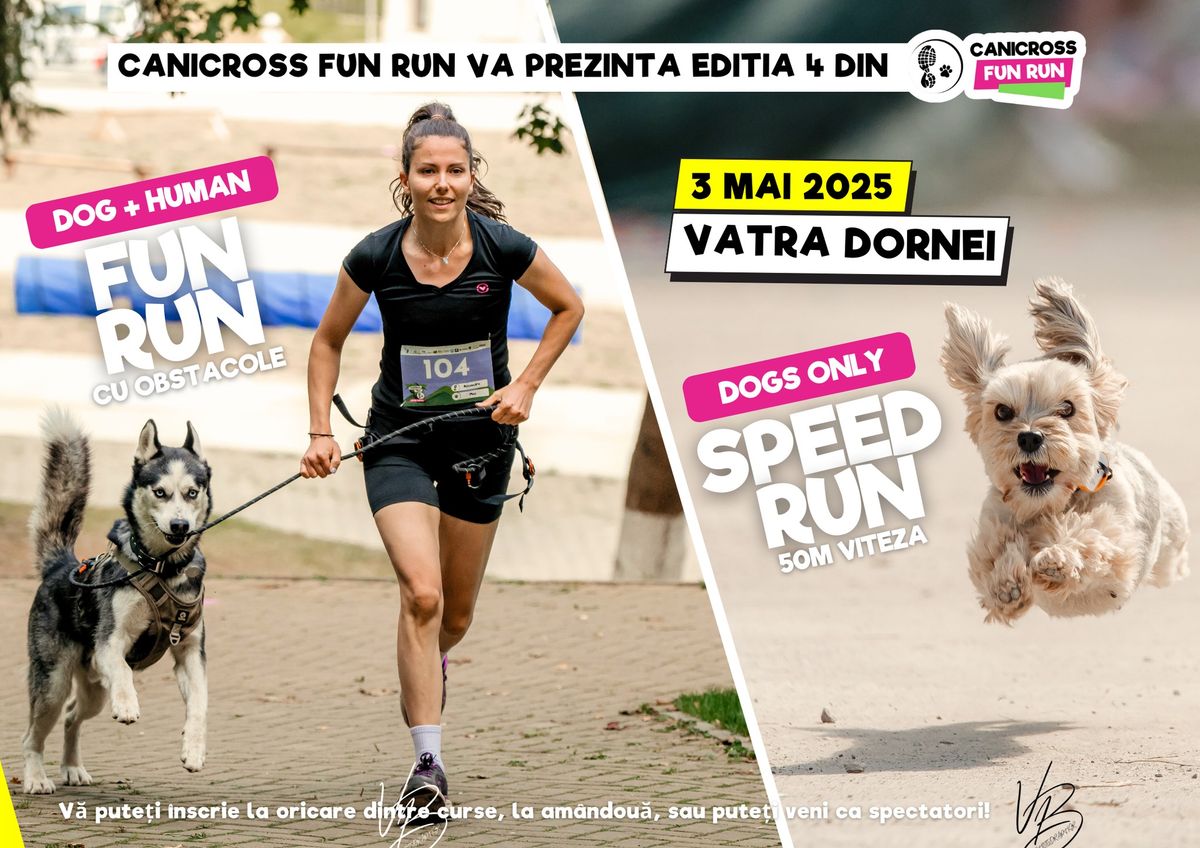 Canicross Fun Run + Speed Run | Vatra Dornei | Edi\u021bia 4