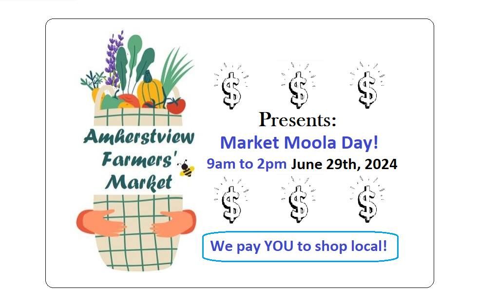 Market Moola Day