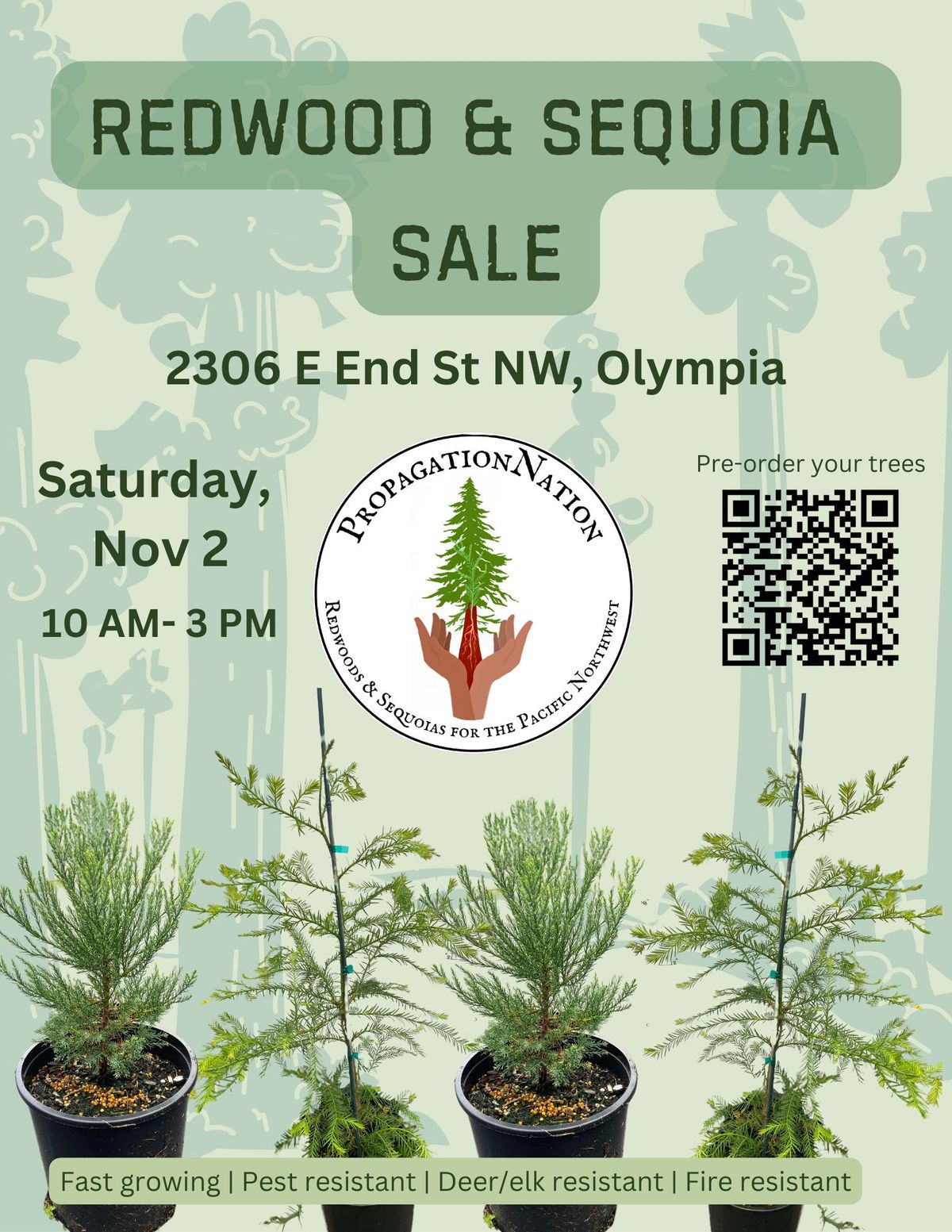 Redwood and Sequoia Sale