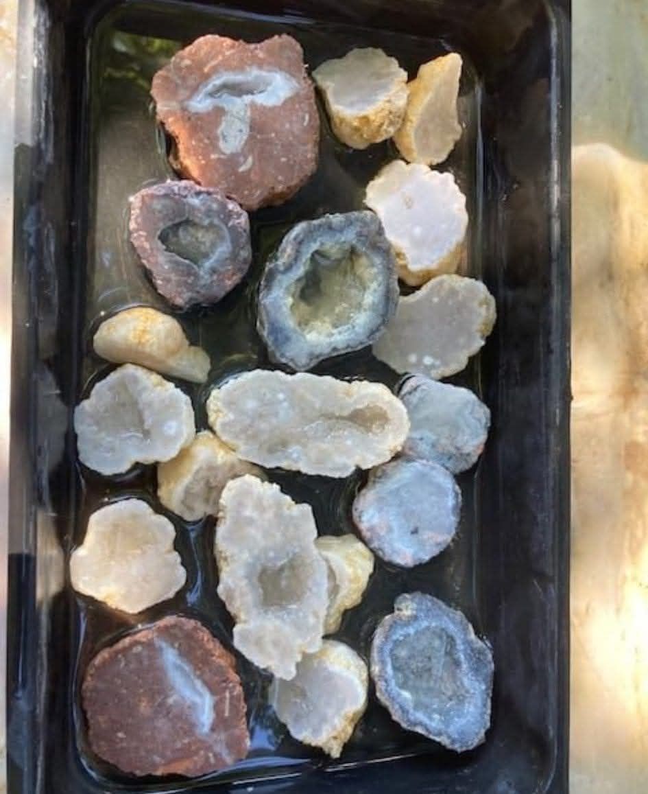 Geode cracking, fossils and more! 