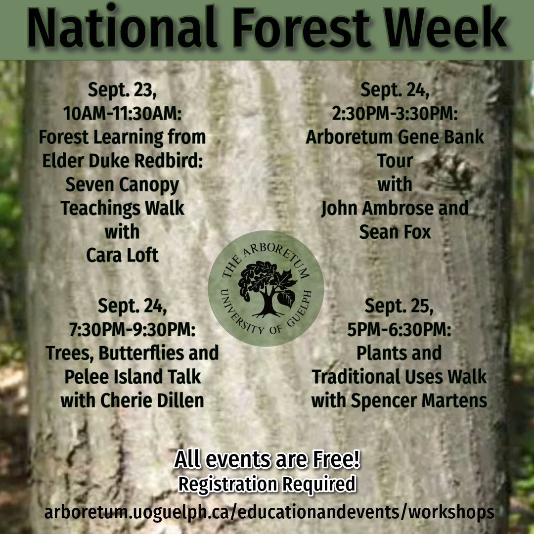 Plants and Traditional Uses Walk - National Forest Week 2024 Event!