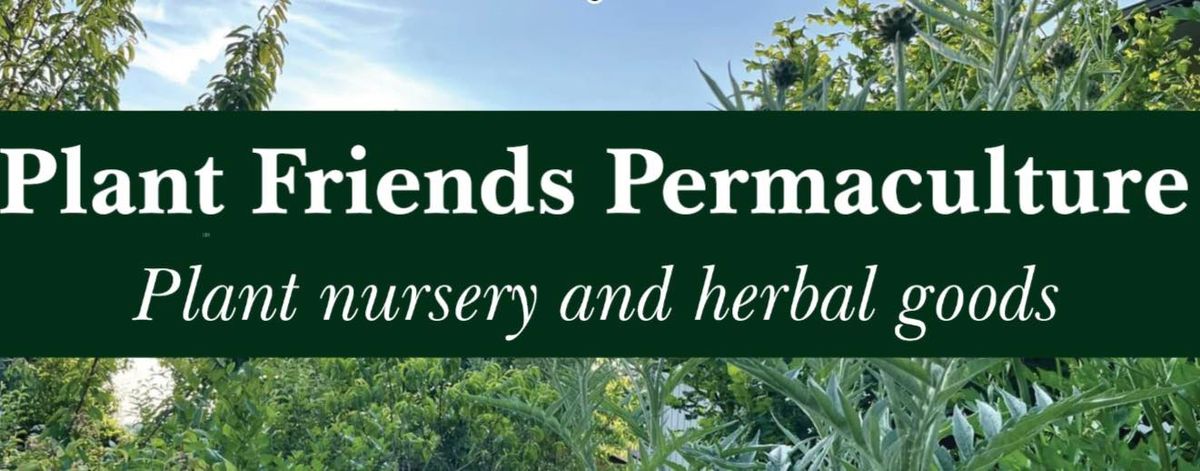 June Garden Tour: Medicinal Herbs Focus