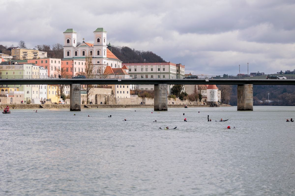 Anschwimmen 2025 in Passau