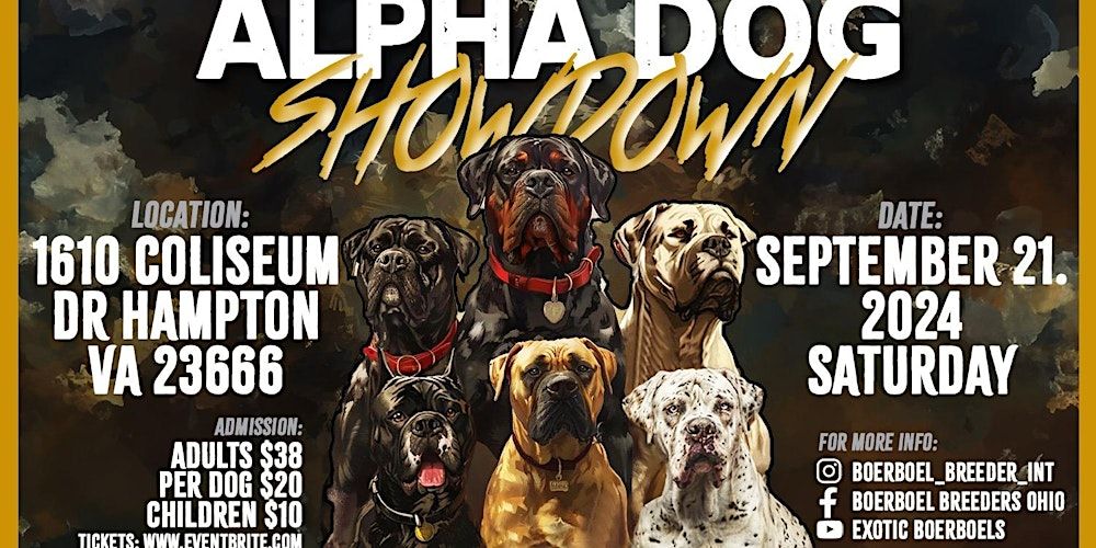 Alpha Dog Showdown