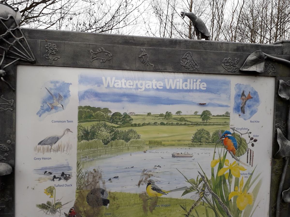 Watergate Park Nature Club