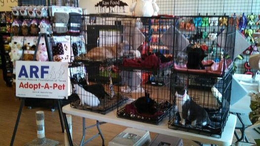 Adoption Event @ Earthwise Pet Supply