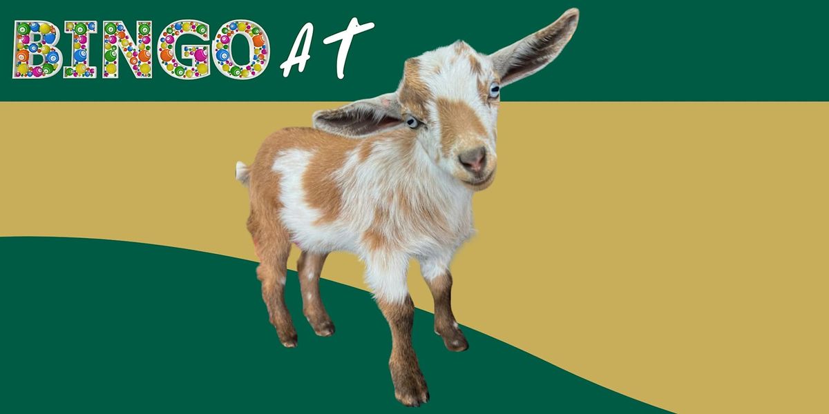 BINGOAT: Goats + Bingo (Arlington)