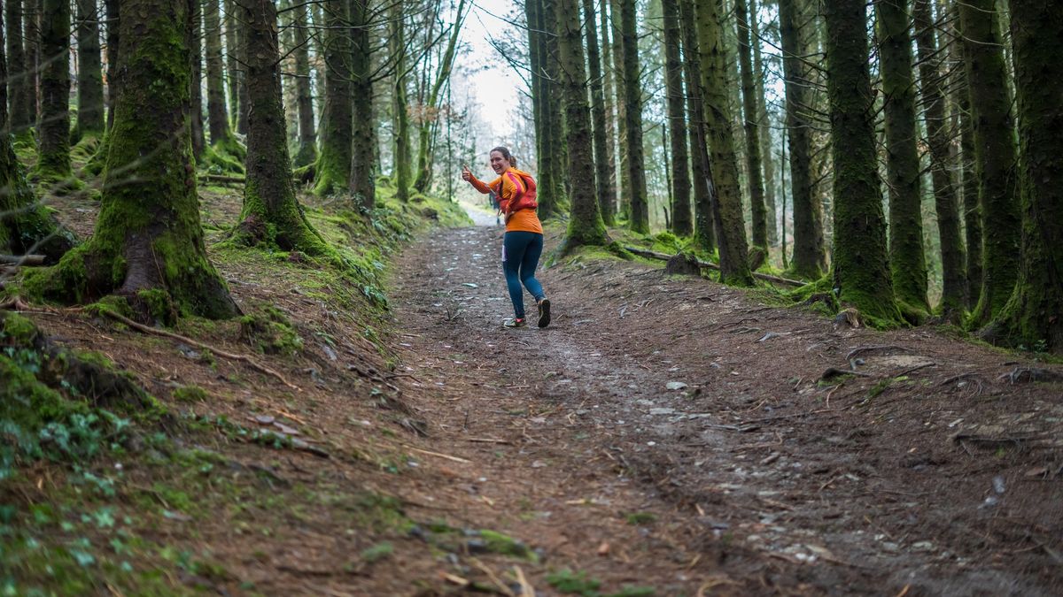 Brechfa Trail Races 2025: Half Marathon & Marathon