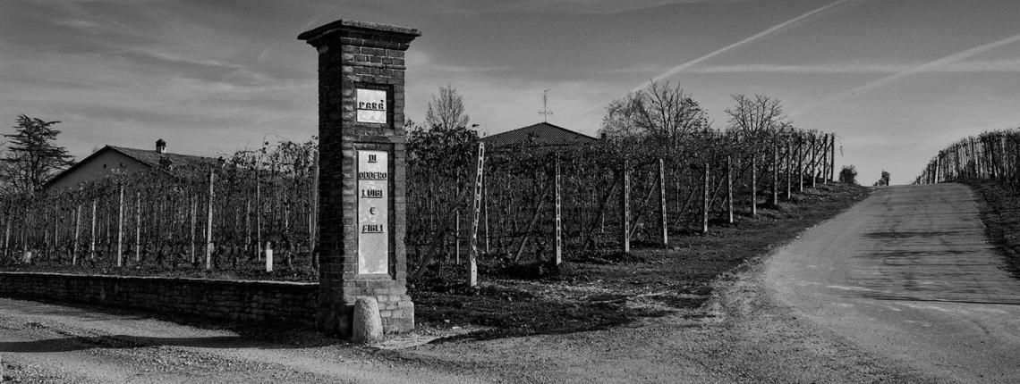 BAROLO VIGNA RIONDA VERTIKALSMAGNING - ODENSE