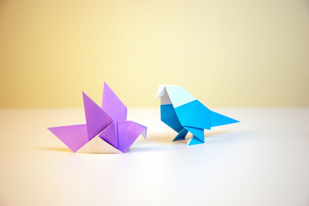 Origami Club