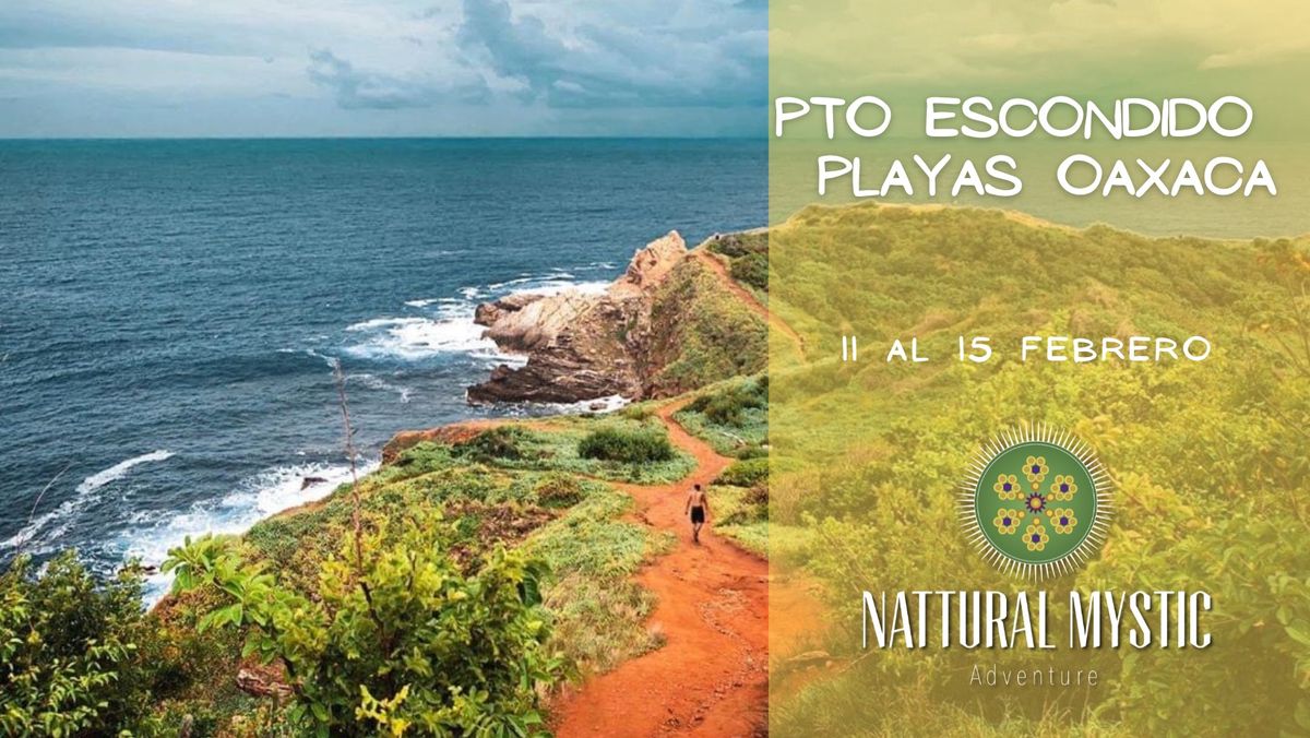 Excursi\u00f3n Pto Escondido \u2022 Playas de Oaxaca 