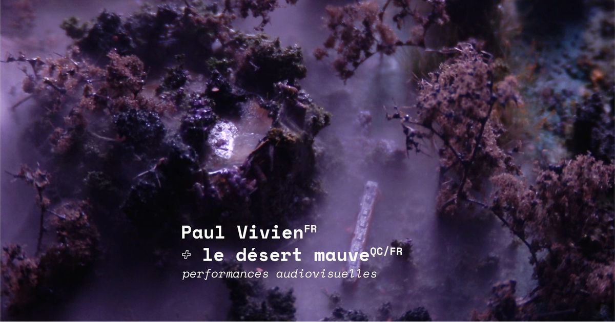 Paul Vivien + Le D\u00e9sert Mauve | performances audiovisuelles immersives