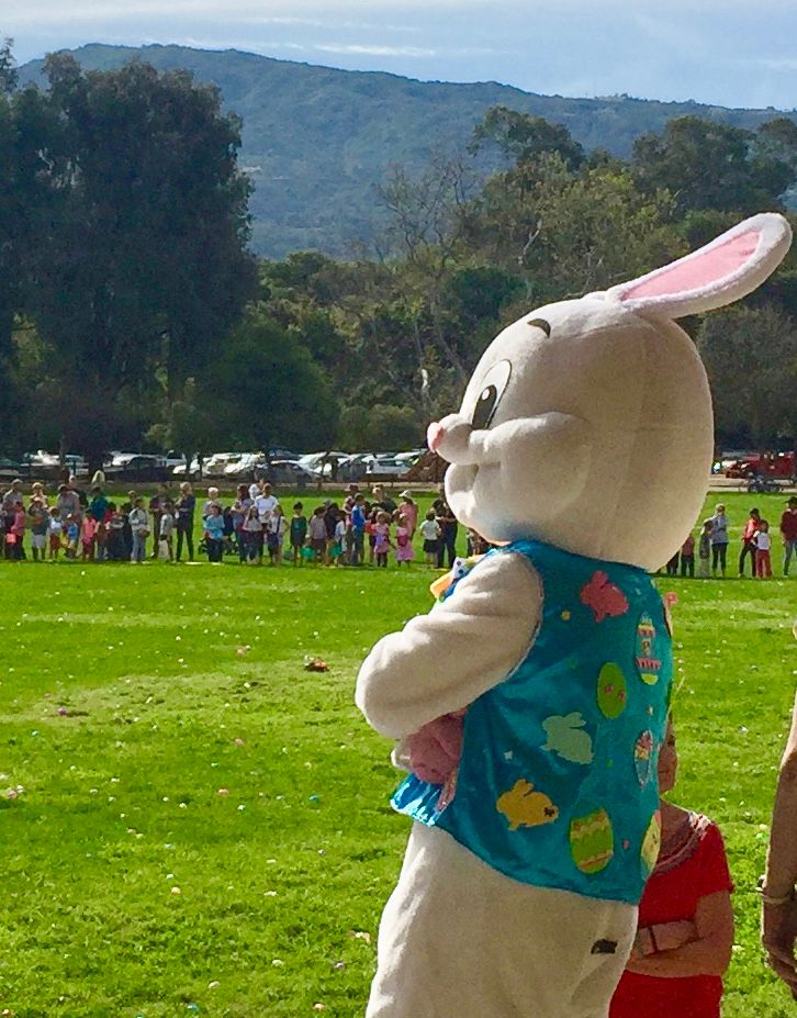 Hippity Hop 'til You Drop: Egg Hunt 2025