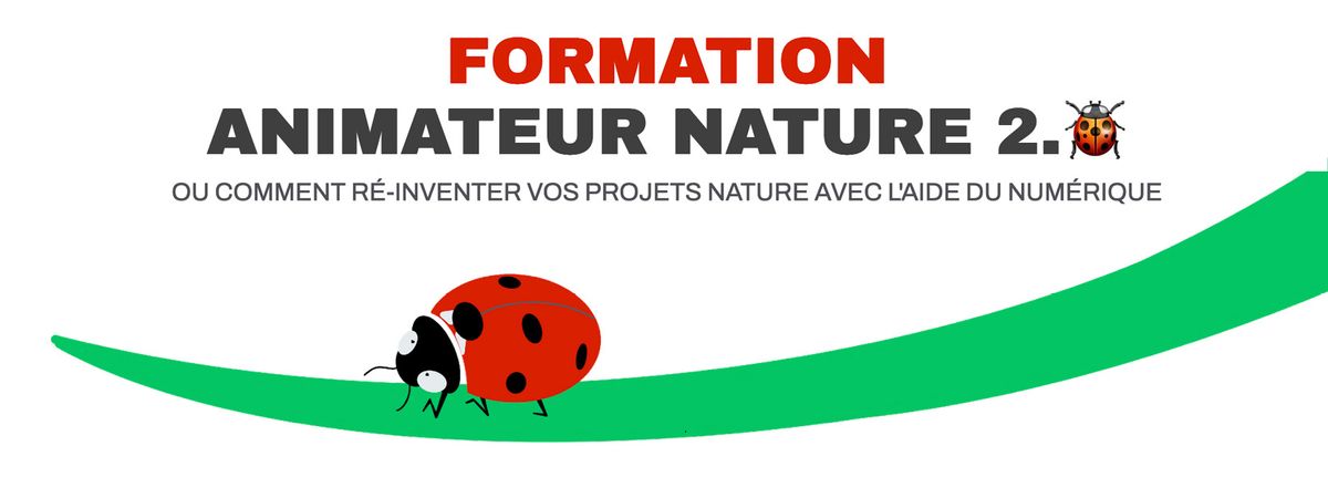 FORMATION ANIMATEUR 2.\ud83d\udc1e (2x3 jours)