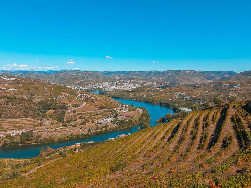 Trilho Vinho do Porto - Samod\u00e3es (Alto Douro Vinhateiro)