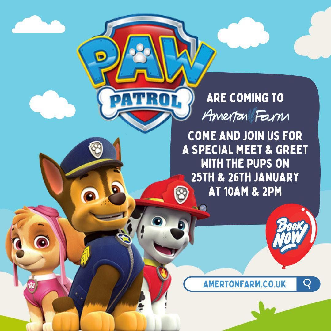 A Tribute to Paw Patrol