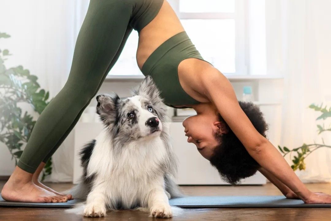 Paws & Pose Vinyasa Flow