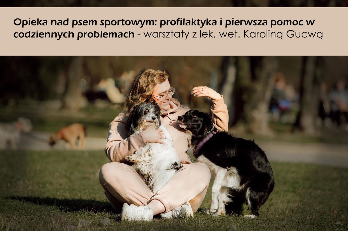 Opieka nad psem sportowym: profilaktyka i pierwsza pomoc - warsztaty z lek. wet. Karolin\u0105 Gucw\u0105 