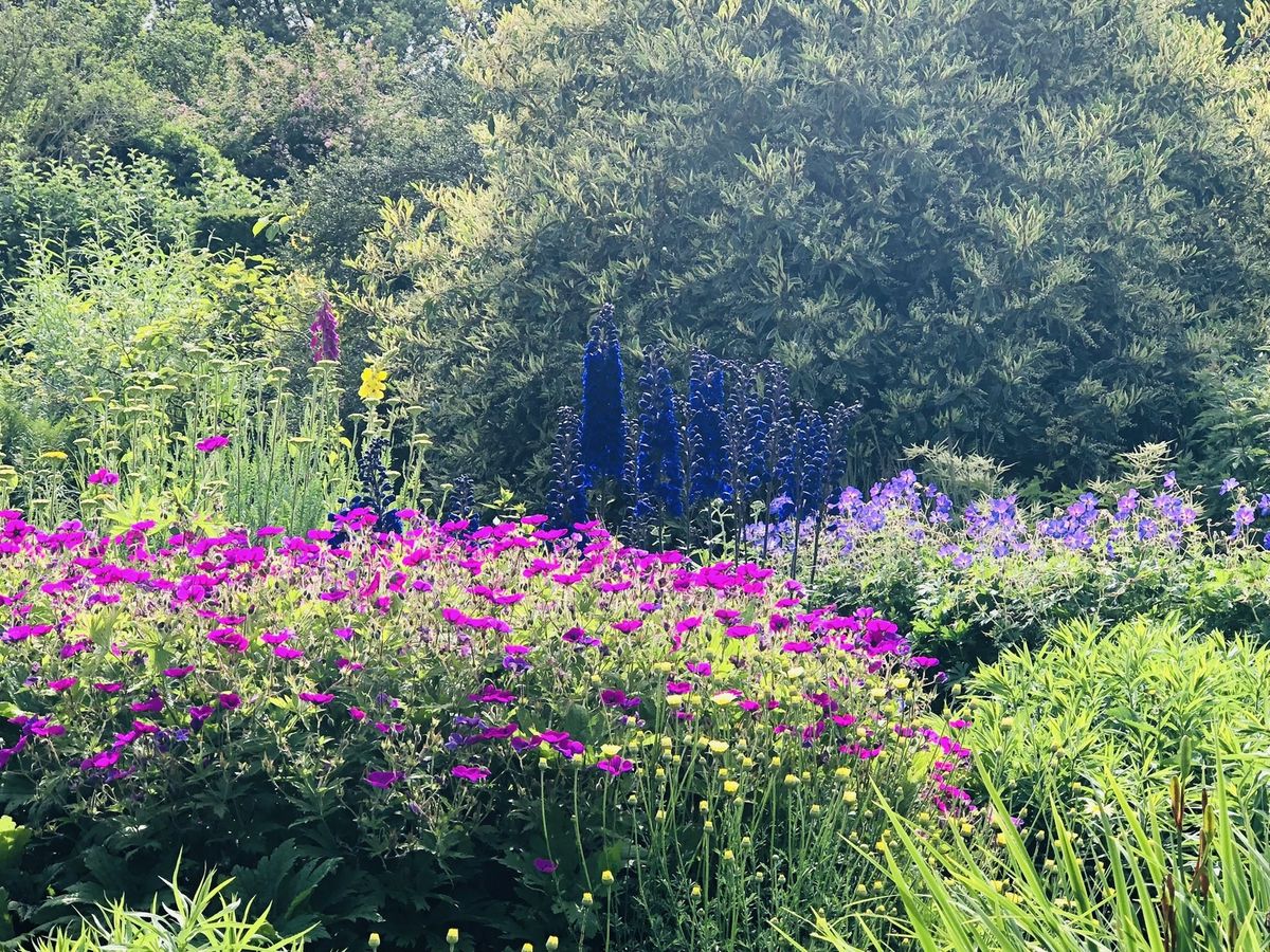 Rare Plant Fair, Waterperry Gardens, Nr. Oxford