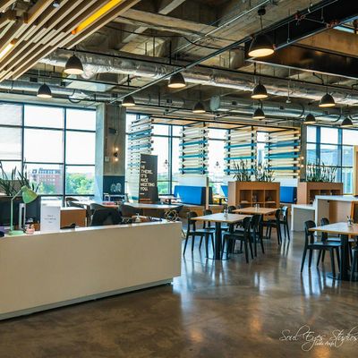 Spaces at the Dillon