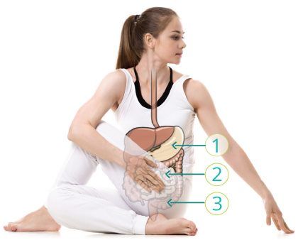 Yoga for the Digestive System