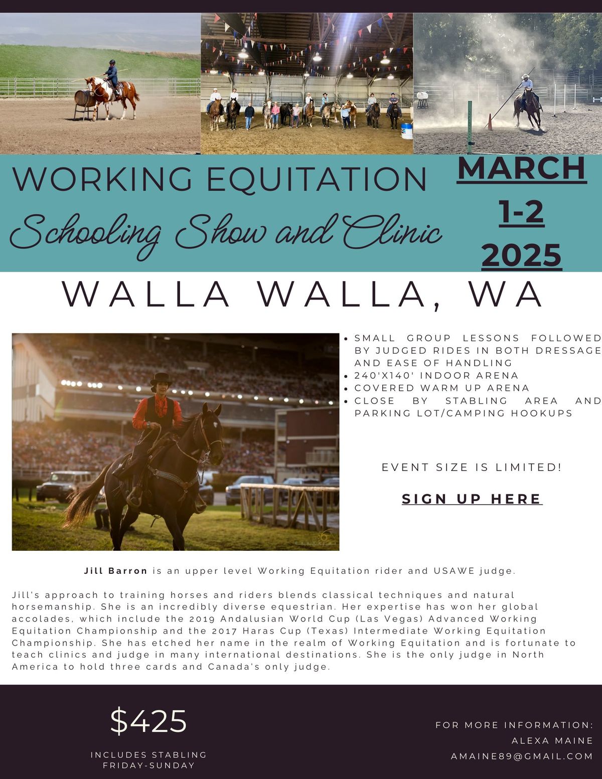 Working Equitation Schooling Show and Clinic 