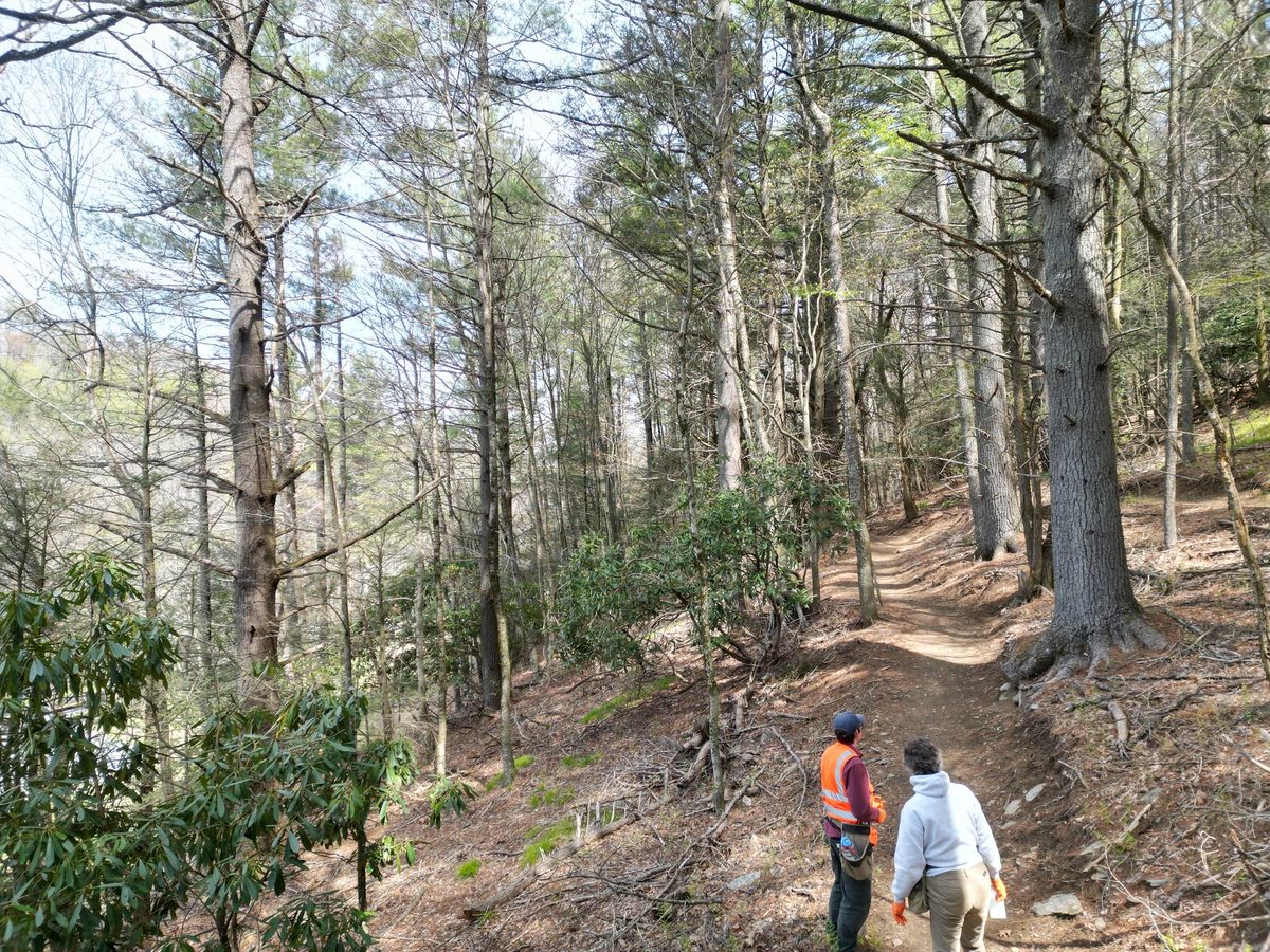 Hemlock Hike with HRI