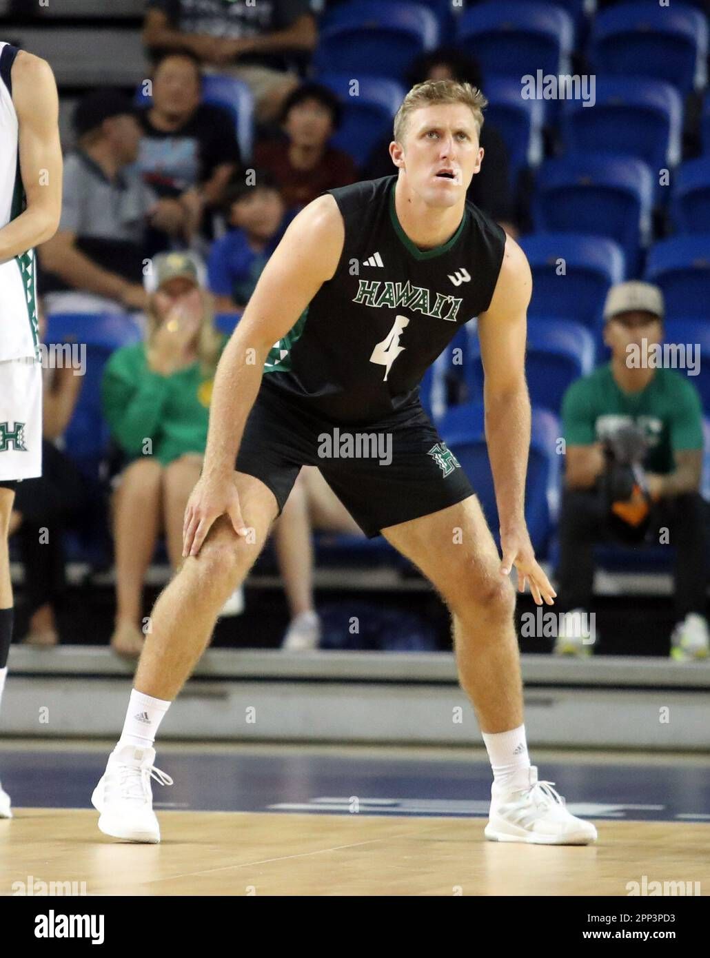 Hawaii Rainbow Wahine Women's Basketball vs. UC Santa Barbara Gauchos