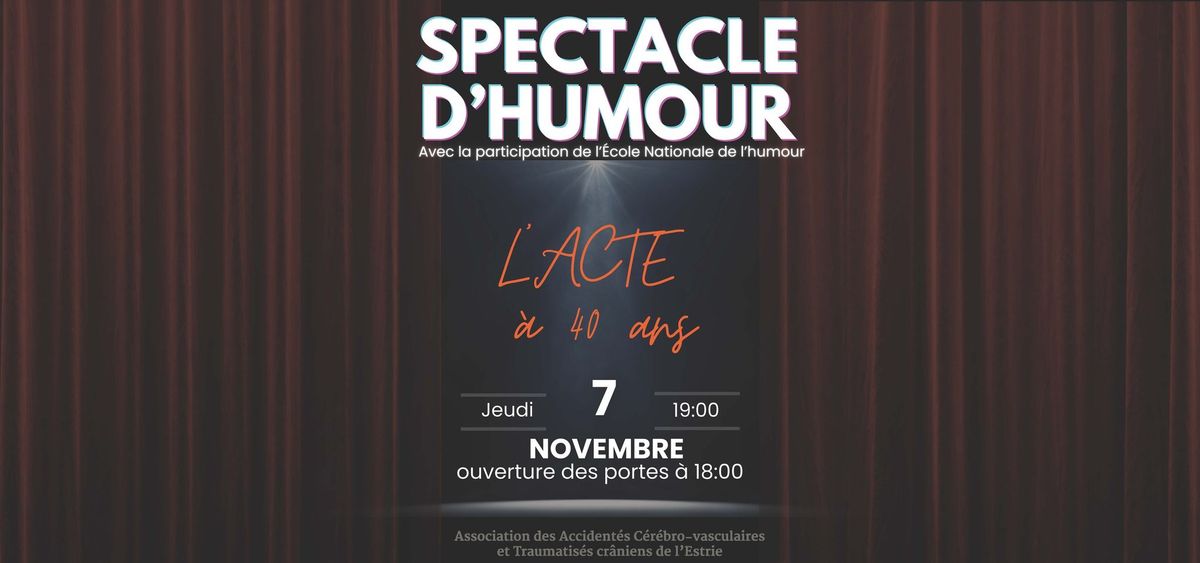 SPECTACLE D'HUMOUR