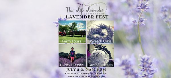 Sauk County Lavender Festival At New Life Lavender Cherry Farm New Life Lavender Cherry Farm Baraboo 2 July To 3 July Lavender Festival Wisconsin 2022