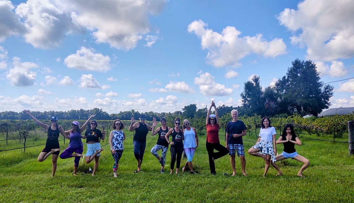 November Yoga in the Vines