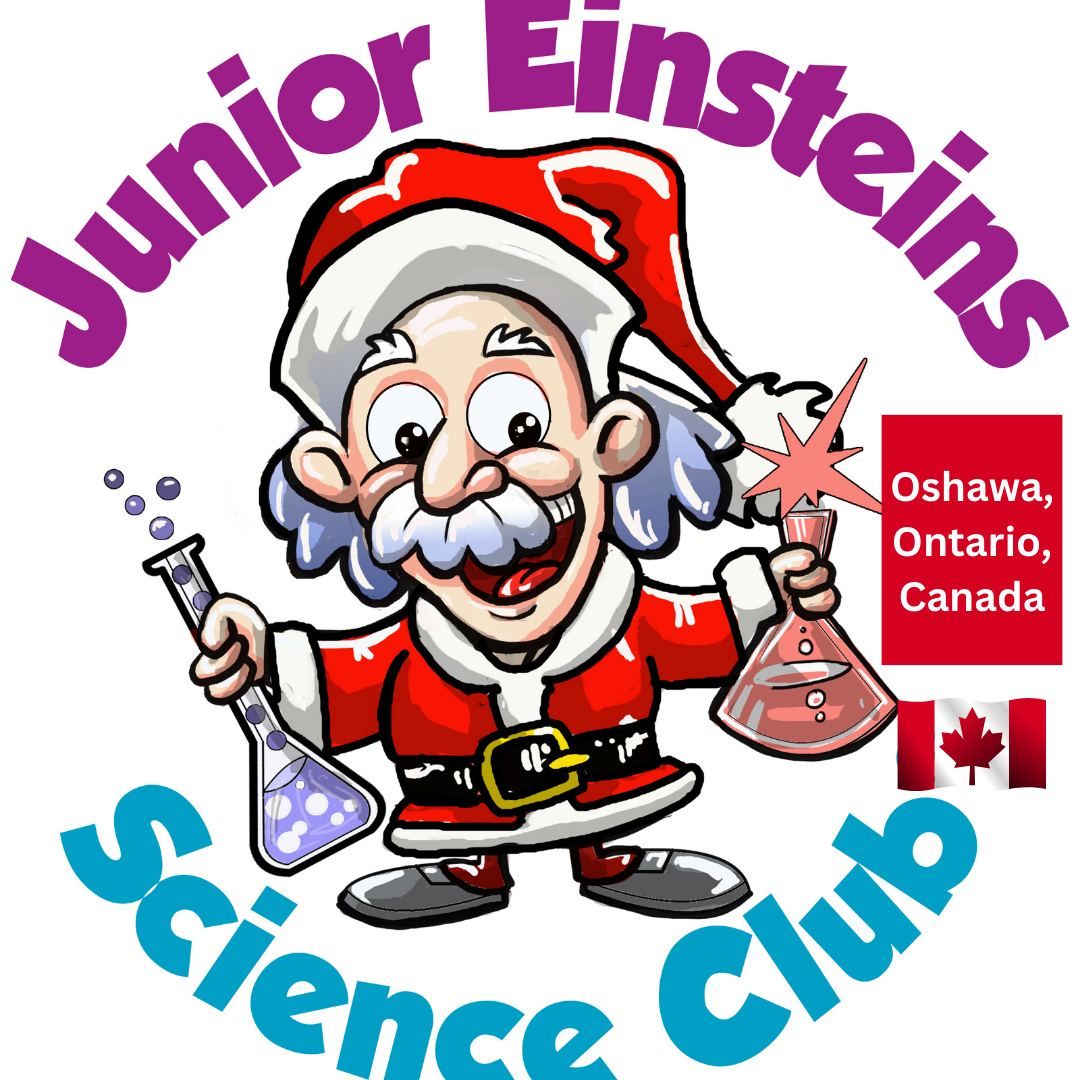 Junior Einsteins Science Club Christmas Science One Day Camp