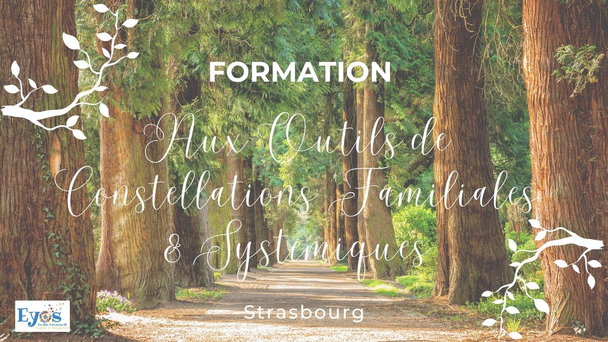 Formation aux Outils de Constellations Familiales & Syst\u00e9miques