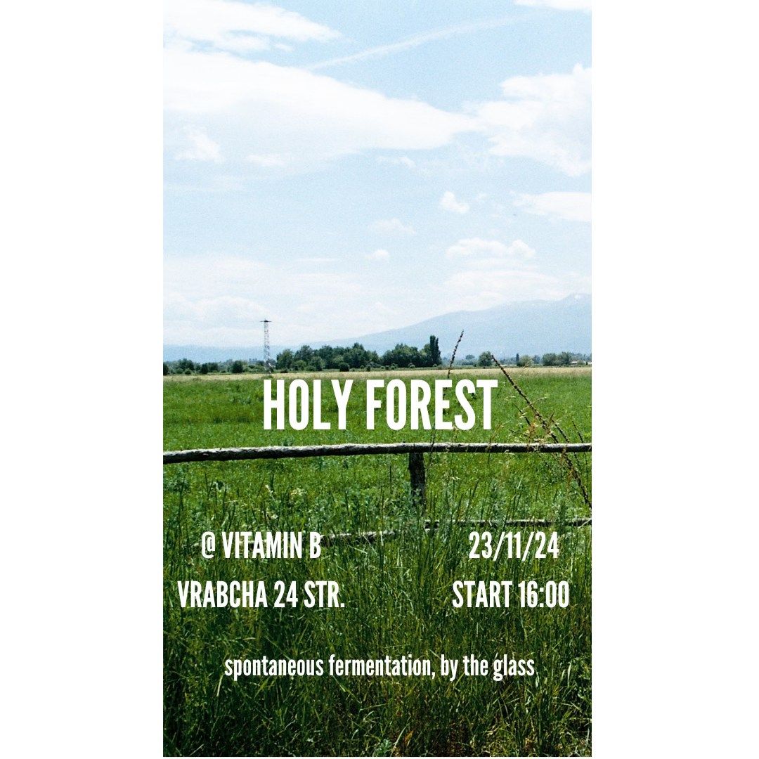 HOLY FOREST [POP-UP @ VITAMIN B]