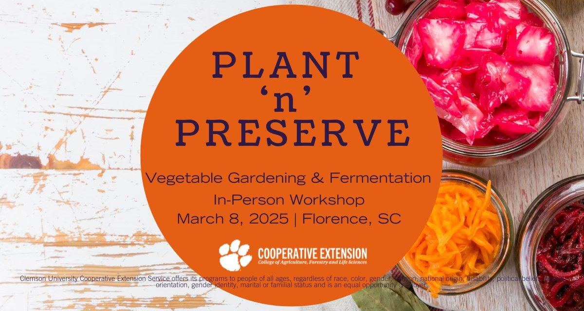 Plant 'N' Preserve: Vegetable Gardening & Fermentation