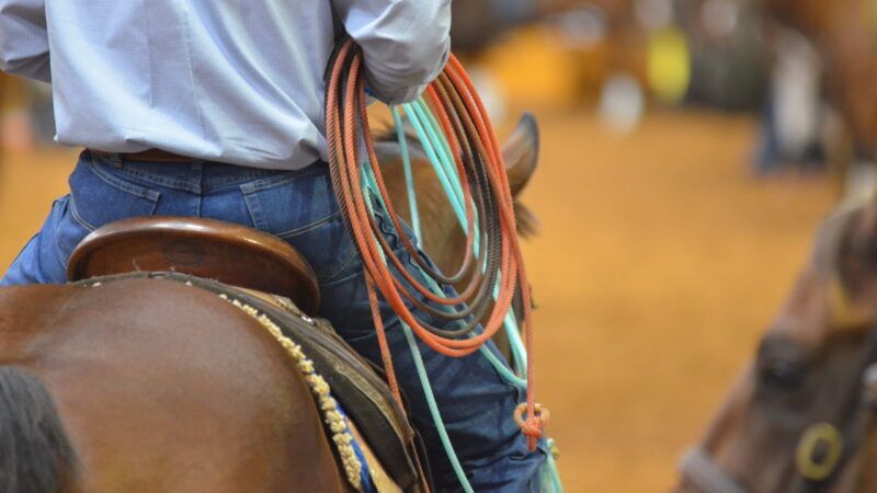 SRCHA\/TQHA Special Event Roping