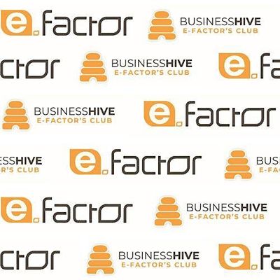 E-Factor & The Business Hive