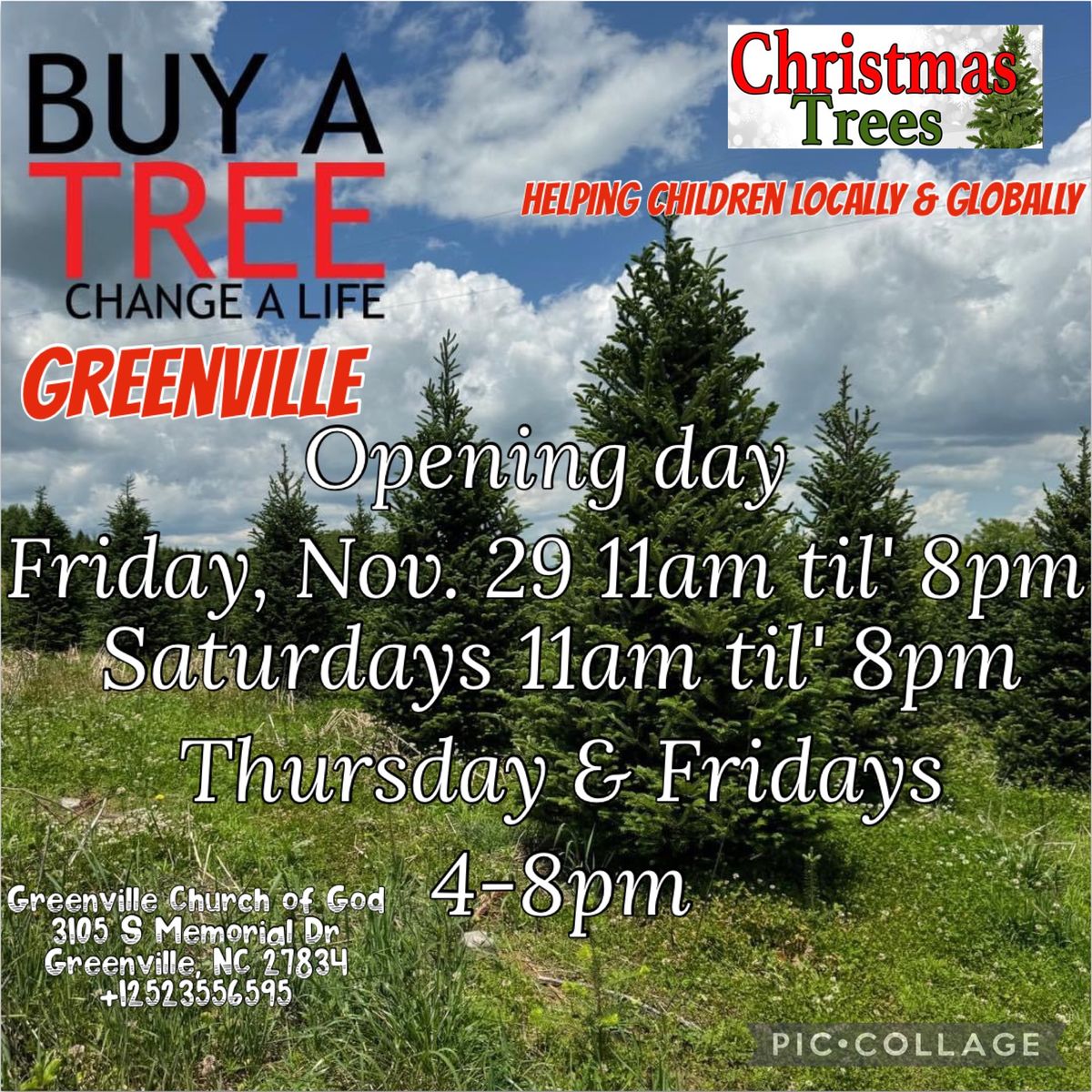 Greenville Church of God Live Tree Sale