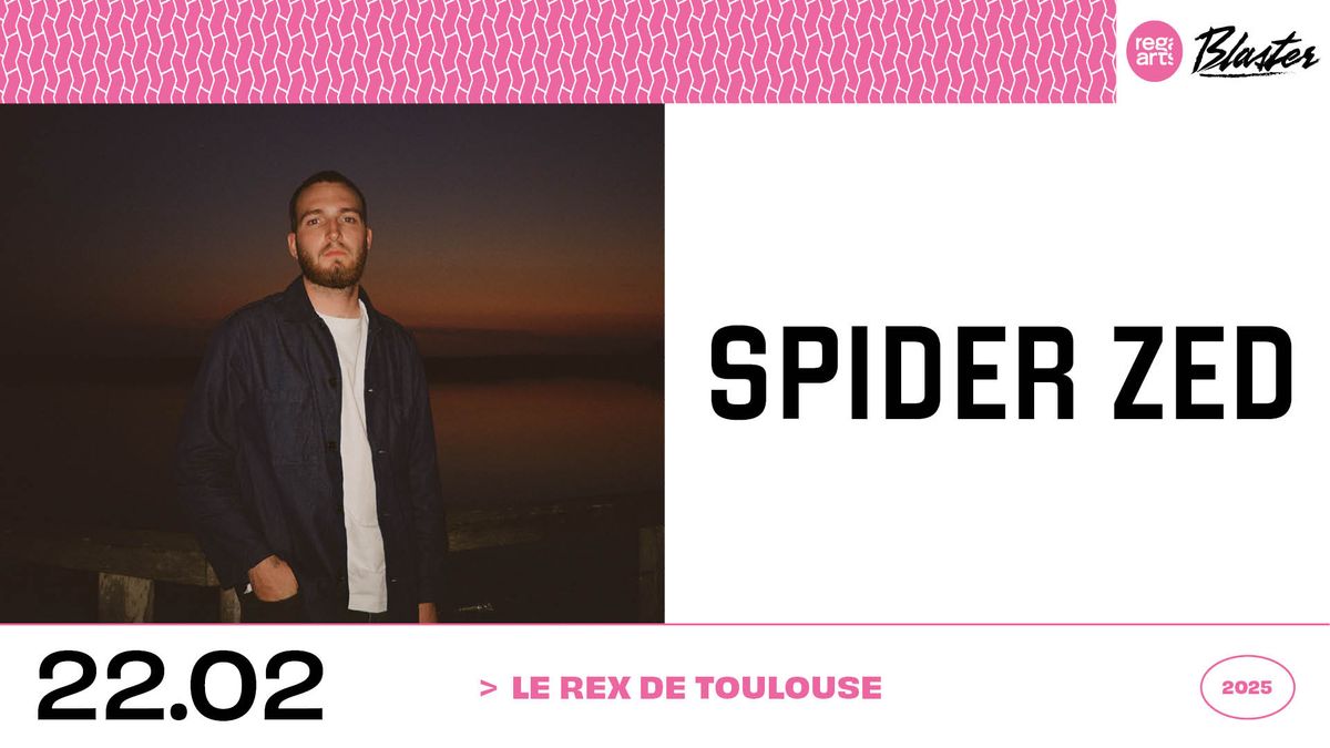 Spider ZED \u2022 Le Rex de Toulouse