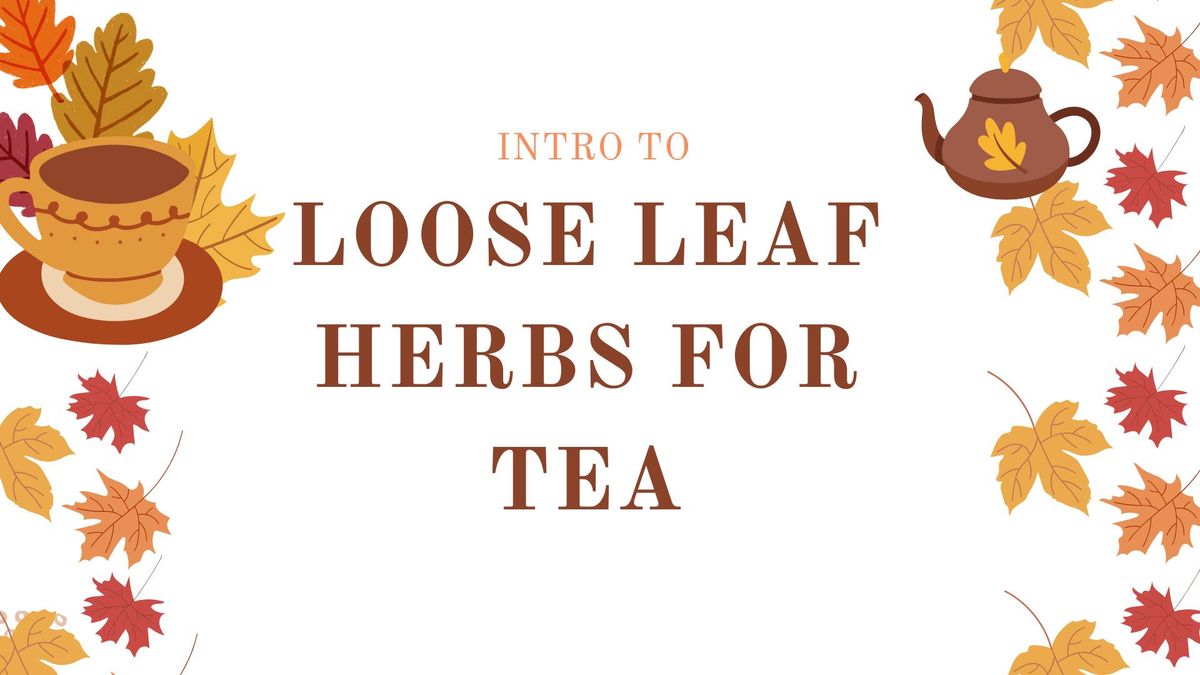 Intro To Loose Leaf Herbs For Tea