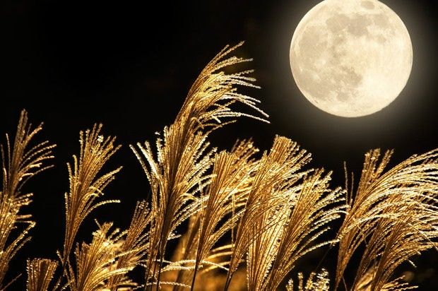 Bike 10:15pm Tue Sep 17 Ride to Midnight Full Moon Ride - HARVEST Super Moon