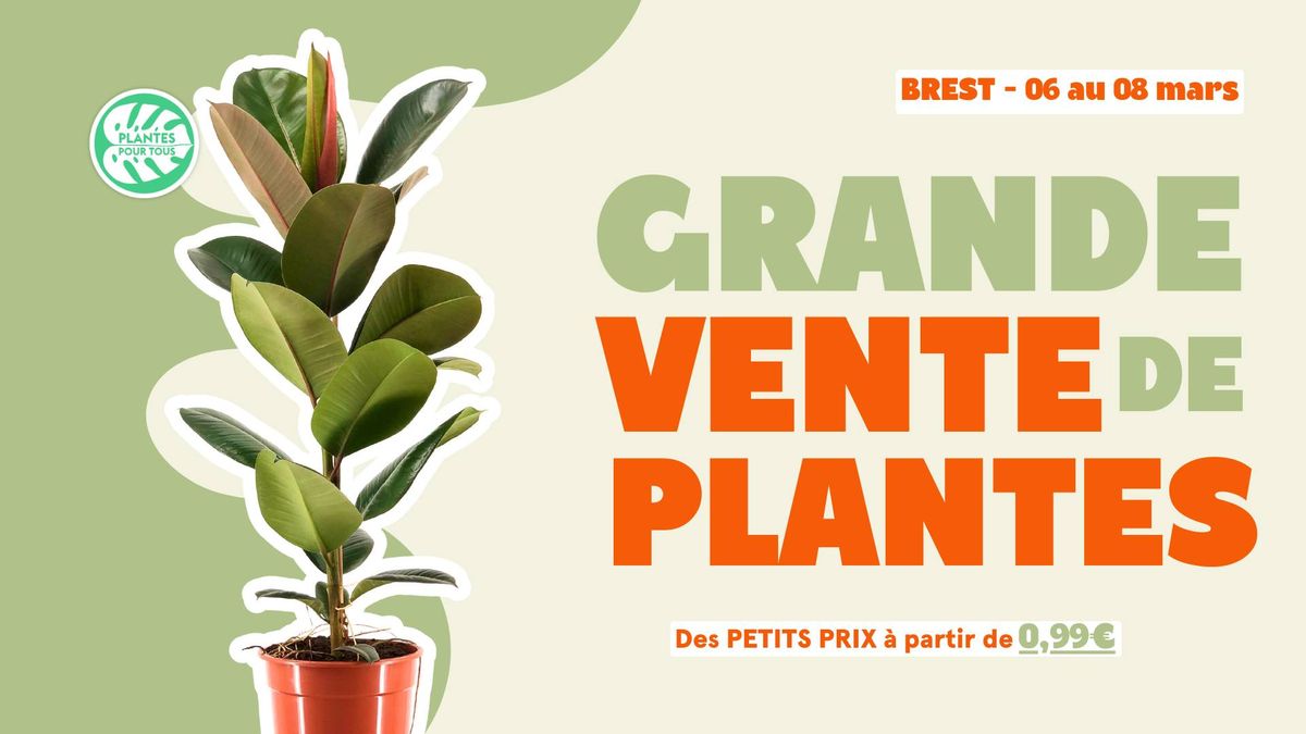 Grande Vente de Plantes - Brest