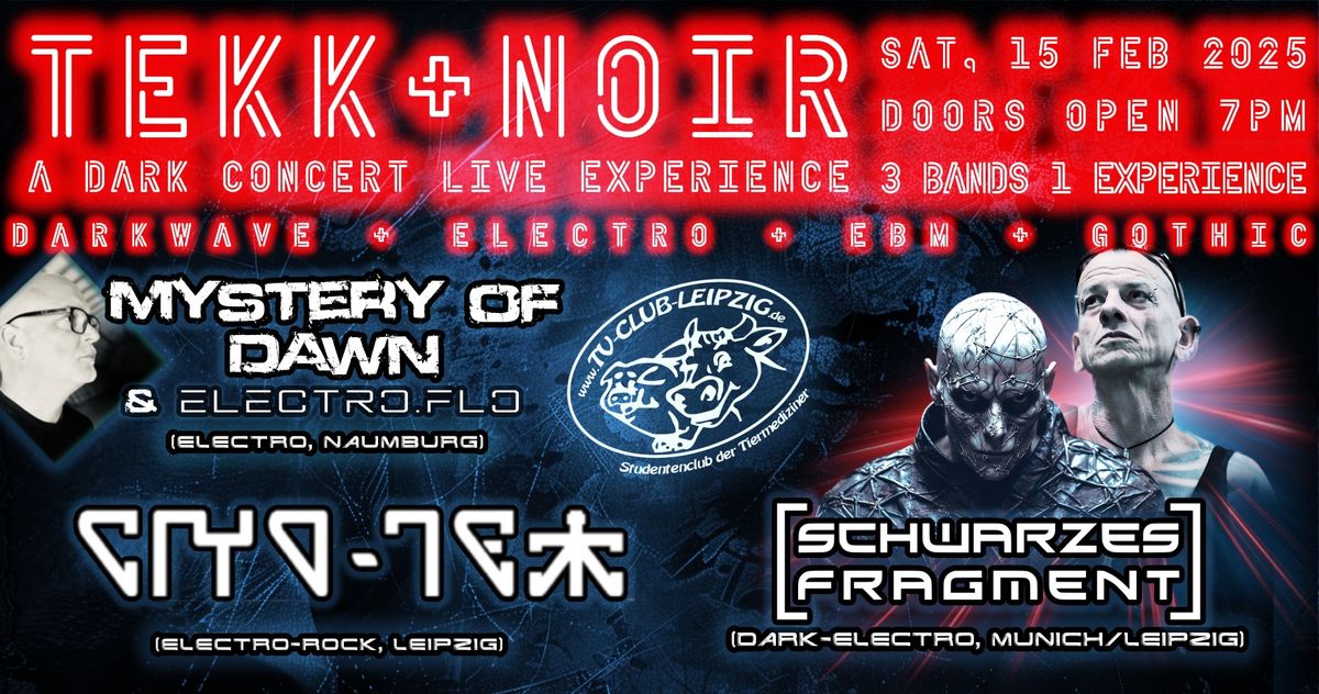 TEKK + NOIR: A Dark Concert Live Experience with Schwarzes Fragment, Mystery of Dawn and Cryo-Tekk