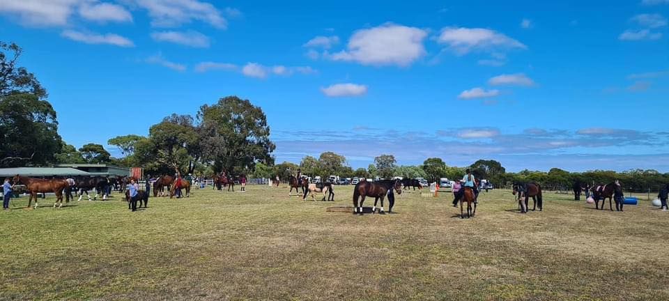 MVRC Open Day - Handy Horse Obstacles