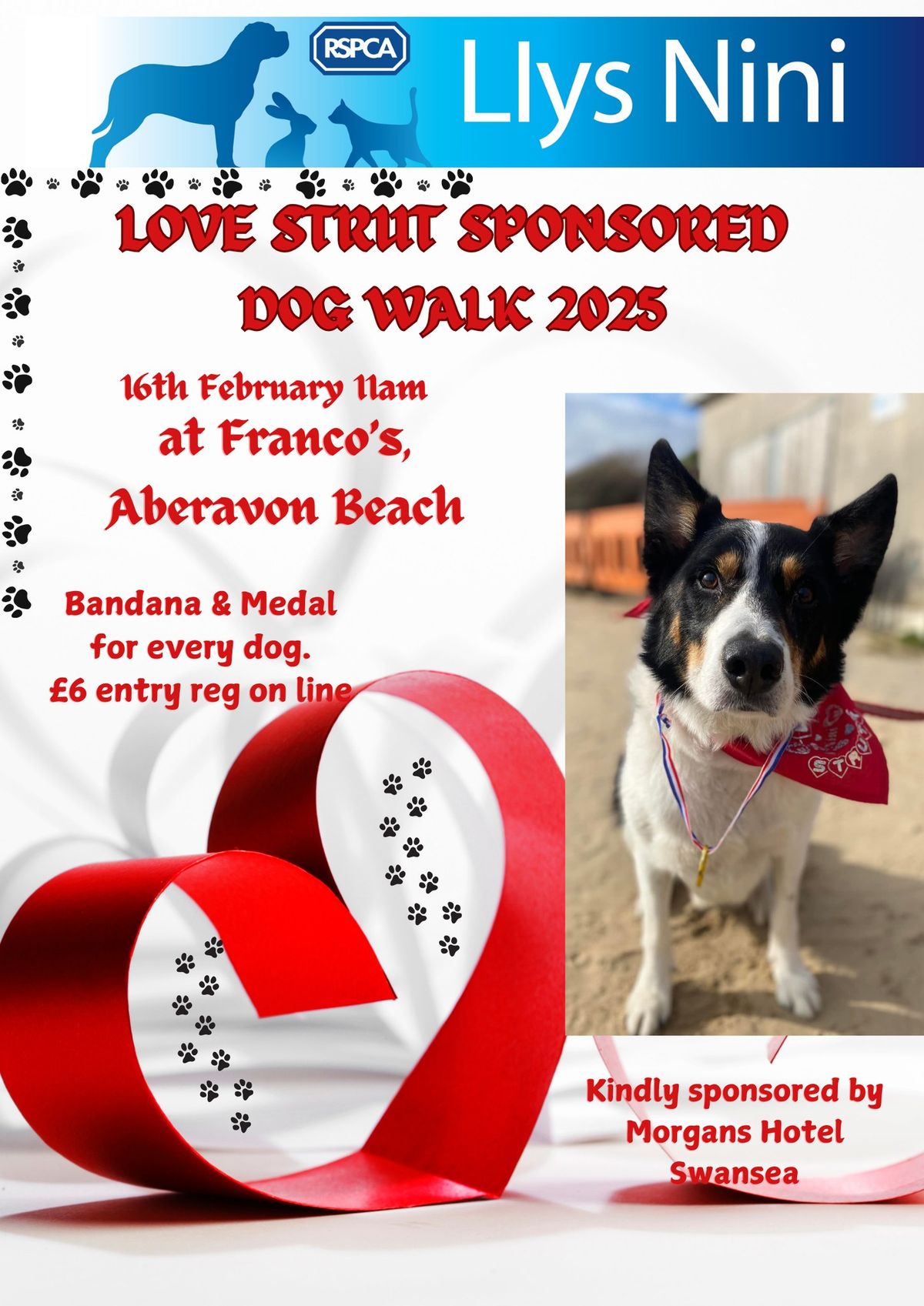 Love Strut Sponsored Dog Walk 2025