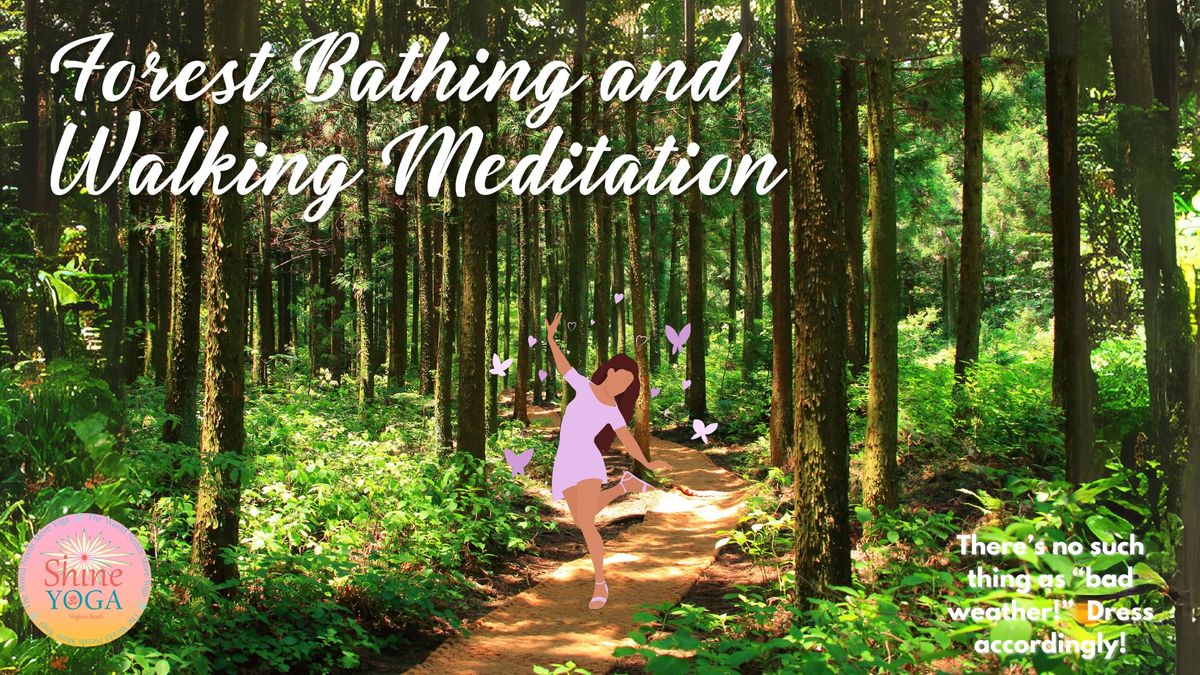 Forest Bathing and Walking Meditation