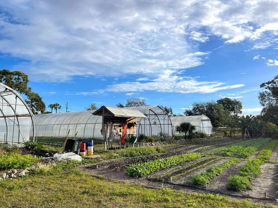 2nd Annual Harvest Fest at Meacham Urban Farm